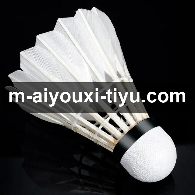 英超第30轮前瞻：阿森纳客战热刺，榜首大战一触即发