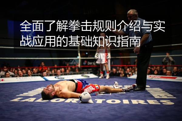 全面了解拳击规则介绍与实战应用的基础知识指南