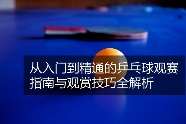从入门到精通的乒乓球观赛指南与观赏技巧全解析